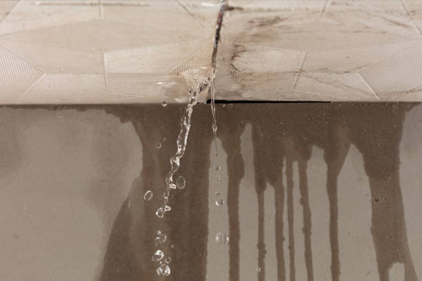 Professional Structural Drying technician working in Bosler, WY